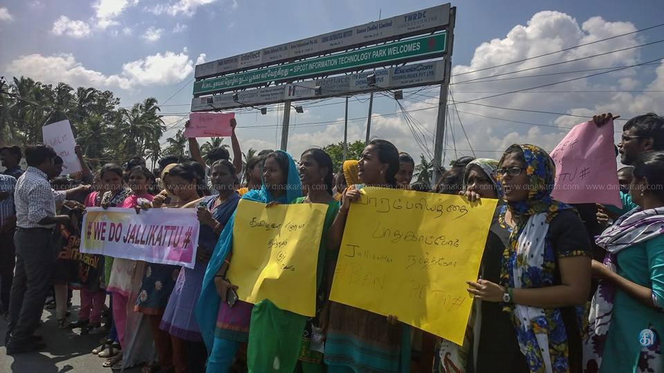 DinakaranNews's tweet photo. #JusticeforJallikattu பழைய மாமல்லபுரம் சாலையில் உள்ள ஐ.டி நிறுவனங்களிள் பணிபுரியும் ஊழியர்கள் ஜல்லிக்கட்டுக்கு ஆதரவாக போராட்டம் தொடங்கியது https://t.co/Bz6Fp92fZq
