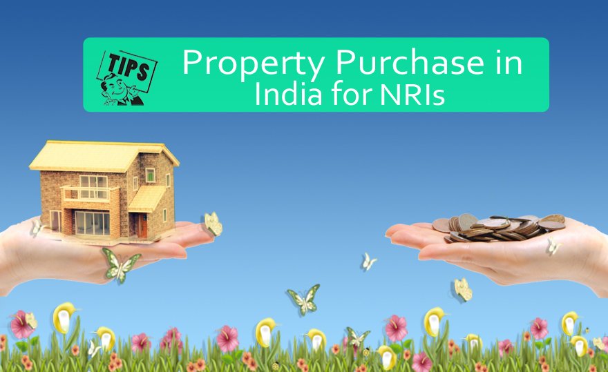 NriHelper's tweet photo. Check out 8 great tips for NRIs for easy #propertypurchase in India.
#NRIHelper
https://t.co/FuQRURoiXX https://t.co/44zAln8r93