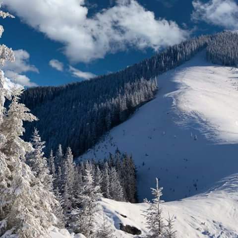 PlusOxygene's tweet photo. NEIGE EN ALGERIE

Ca neige sans arret en afrique du nord...C'est de bonnes augure pour l'arrivee du printemps et les floraisons. https://t.co/Azp0xelNFh