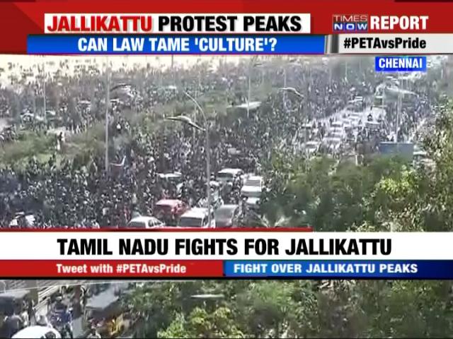 TimesNow's tweet photo. People in huge numbers gathers at Marina Beach, Chennai in support of Jallikattu #PETAvsPride https://t.co/CwO6VHGoMK