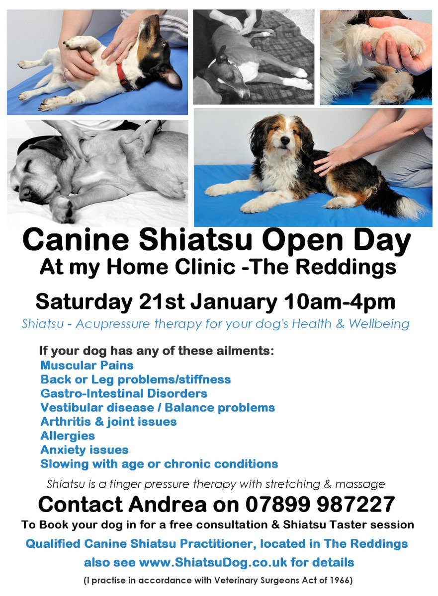 ShiatsuDog's tweet photo. My First Canine Shiatsu Open Day - THIS Saturday #Cheltenham Find out how this therapy can benefit your pooch! #FreeTasterSessions #Shiatsu https://t.co/j9tntOXD2d