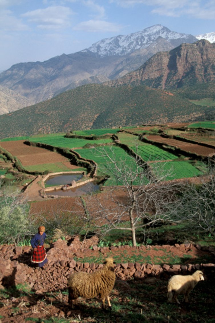 Empowering #Women in Atlas : les #femmes au service du développement durable marocenaction.com/action/empower… v/ <a href="/MarocEnAction/">Maroc en Action</a>