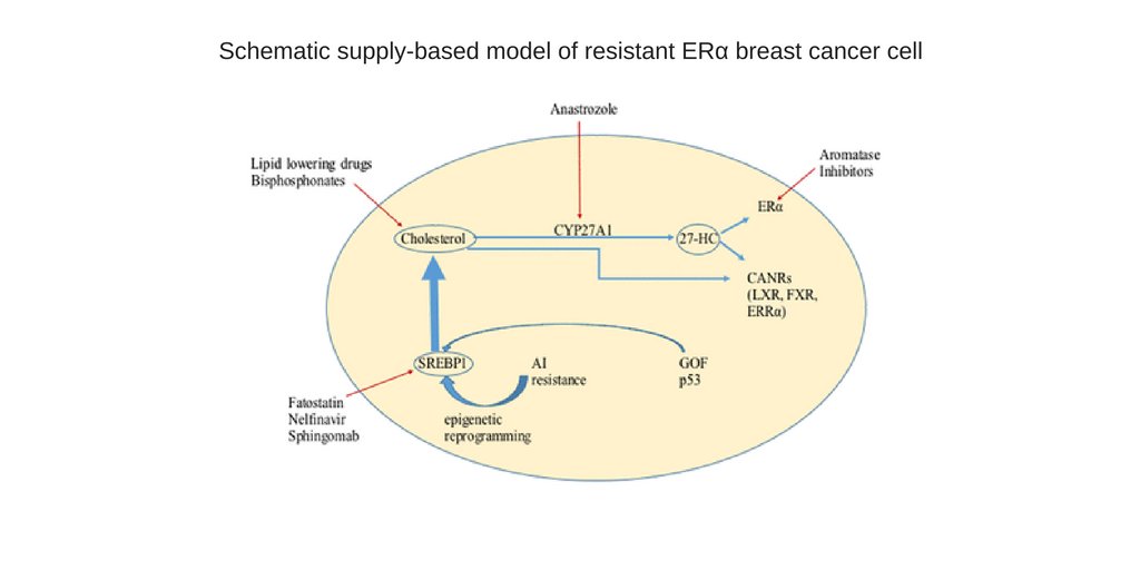 JMolEndo's tweet photo. Check out this recent #focusedreview - 2000 words and 15 references to summarise a recent highlight: https://t.co/40fJlo4rZN https://t.co/jqxWgRa7TK