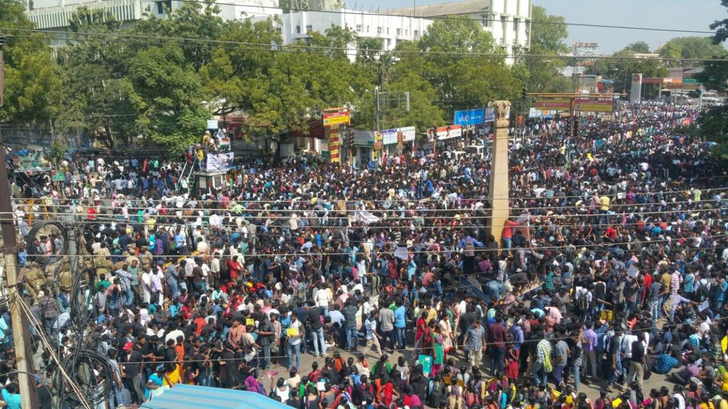 Ashwin14993587's tweet photo. #Ladysuperstar
Voice for jallikattu....
Save our culture
#Nayanthara
Give the big hands for tamilans
Protesting supporting for jallikattu... https://t.co/goeAYSv8JY