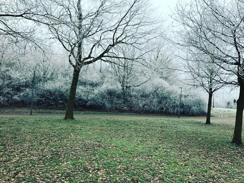 Selfmade_Chap's tweet photo. Lovely weather https://t.co/YxzCNofwxa