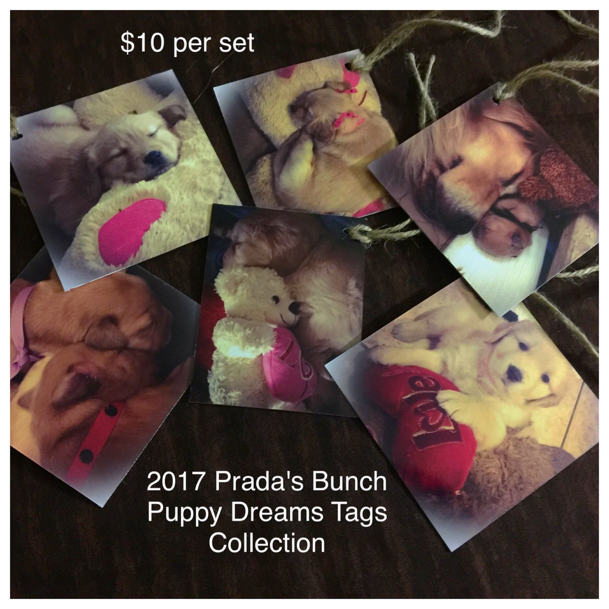 PradasBunch15's tweet photo. Beautiful tag collection of puppies β€β€β€π#pradasbunch #ValentinesDay https://t.co/l3tHeIdAhA
