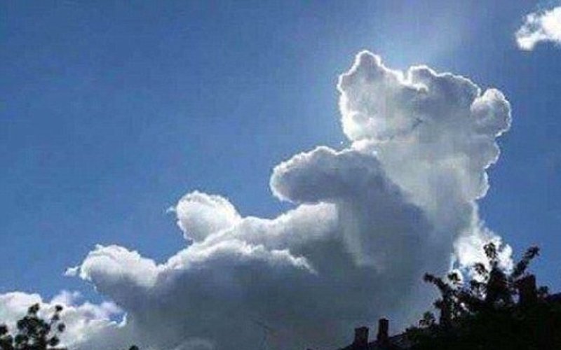 clouddirect's tweet photo. Pooh knows the importance of the cloud #winniethepoohday https://t.co/LikElCLao3