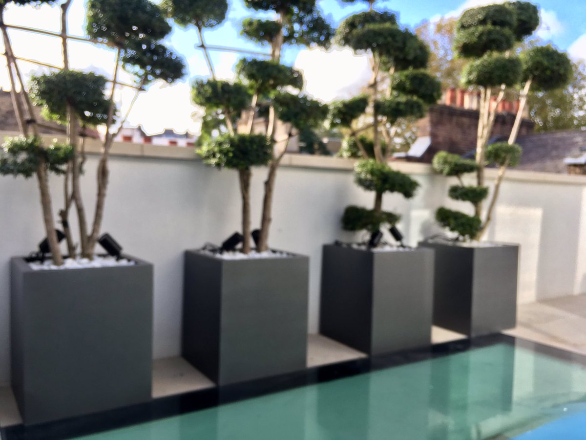 Europlanters's tweet photo. Small #rooftop #balcony brightened up with #planters &amp; #topiary #London #garden #design  We love the #cloudtrees on this project. https://t.co/1CdJzdrd4i