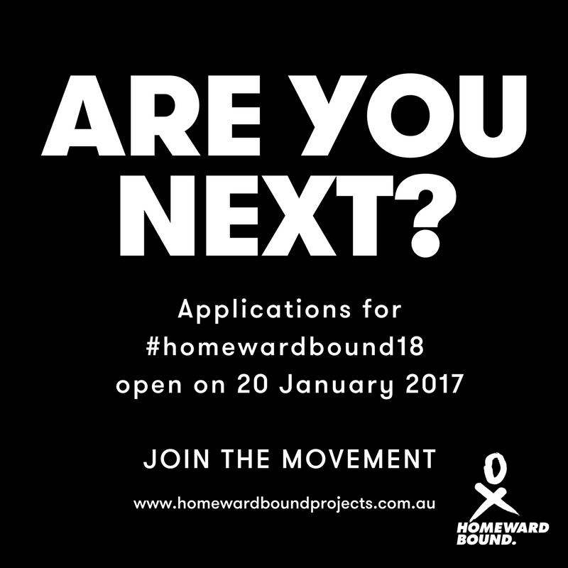 Homeward Bound tweet media