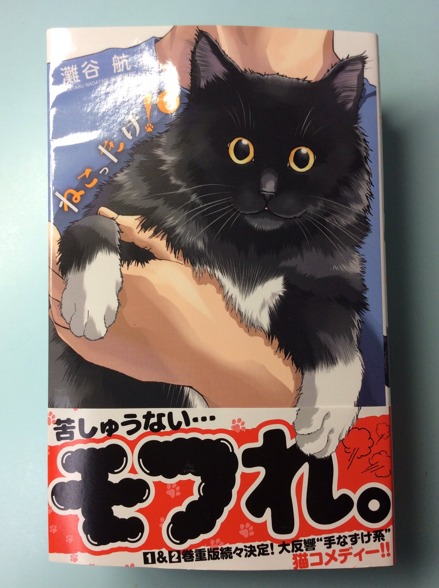 灘谷航 猫暮らしのゲーマーさん 巻5 18日発売 ねこったけ3巻の献本届きました こちらが帯付きになります どうぞよろしくお願いします 灘谷航 猫暮らしのゲーマーさん 巻5 18日発売 ねこったけ3巻の献本届きました こちらが帯付きになります どうぞよろしくお願いします