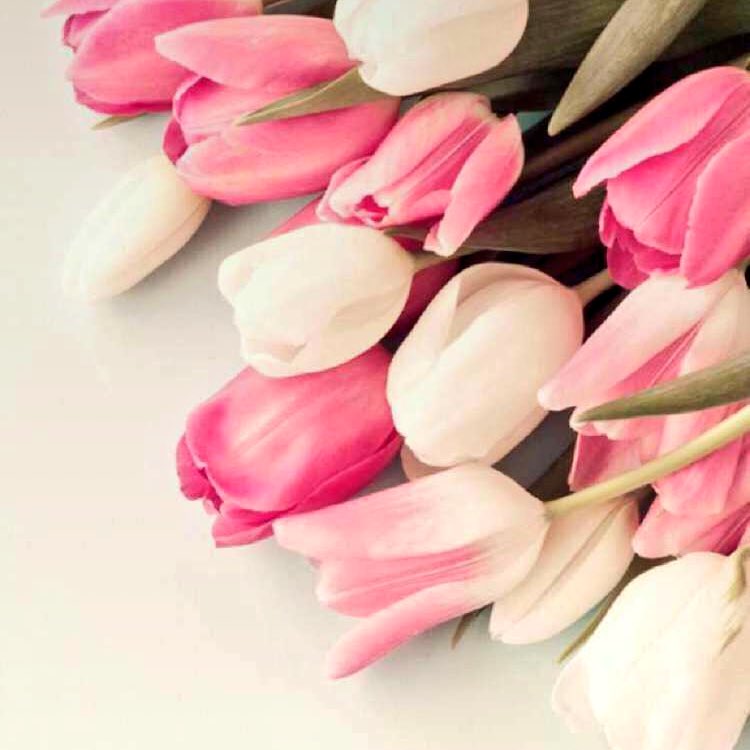 yaz771987719's tweet photo. لا تؤجلوا أو تخبئوا الكلام الجميل ، فلن يرثه أحد ليقوله نيابة عنكم
♩❋'ء.💞🕊 https://t.co/nBPzMjRIH6