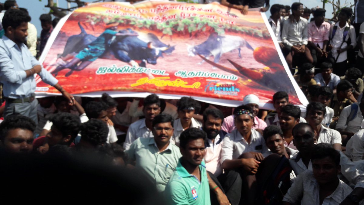 vasanth s sai tweet media