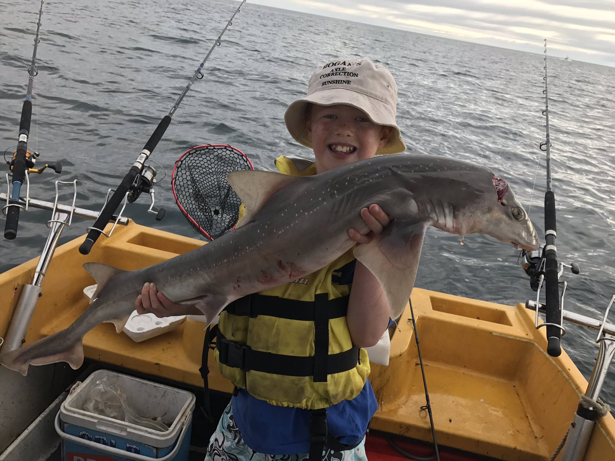 GordonTreble's tweet photo. @fishing_fever my 10 year old son Tyler, not bad for his first Gummy Shark @ 130cm caught in 23mtr in PPB. https://t.co/YpBmPQMNiu