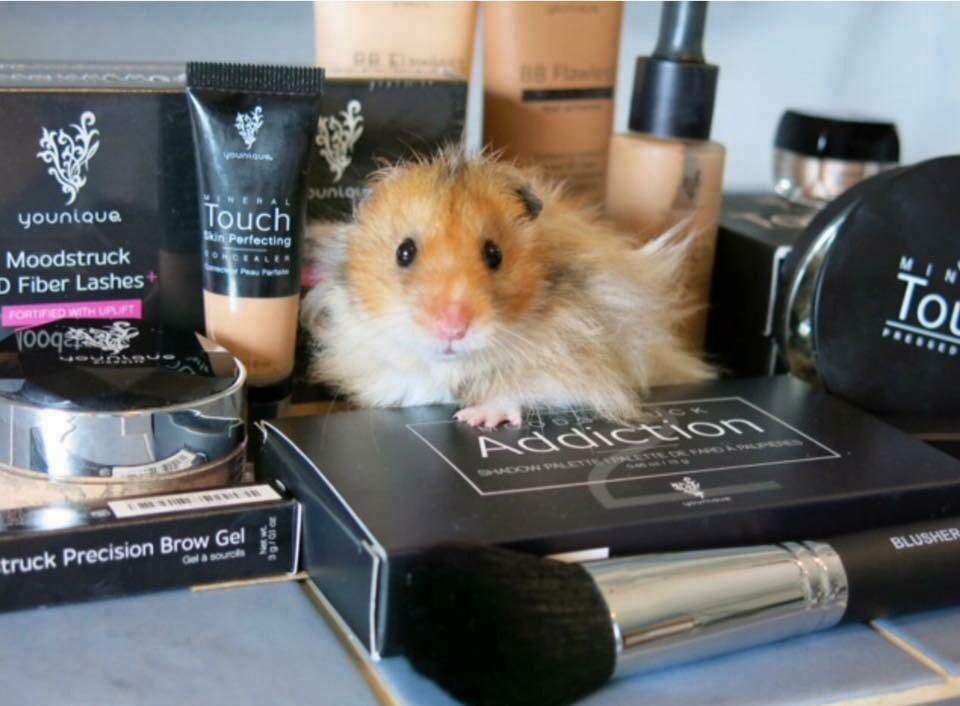 Carlxpierrex101's tweet photo. Very proud to say Younique doesn't test on animals🐰 https://t.co/u7TVjSAlMH
