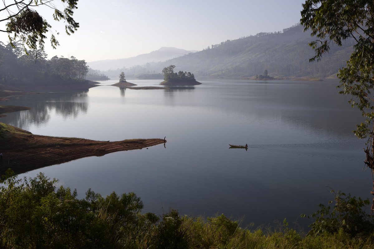 Sauce Travel tweet media