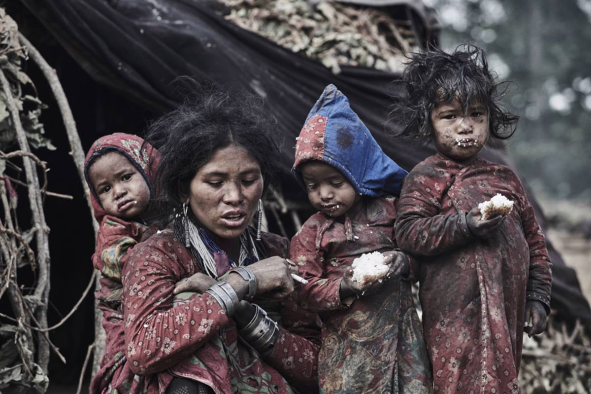 elpais_foto's tweet photo. Fotos: Punto de Enfoque @MiguelMorenatti Los reyes de los bosques del Himalayavía https://t.co/mQjXHw2039 https://t.co/s7BTWLsJa4