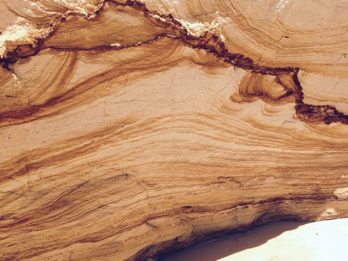 shop Lebenserhaltung als Haftungsgrund