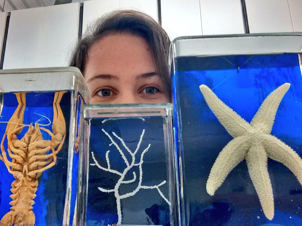 katey_whyte's tweet photo. #MuseumSelfie with some of the awesome marine invertebrate collections at @NatSciNMS @NtlMuseumsScot. 🐙🐚🦀🐛 https://t.co/hW1INQGtBh