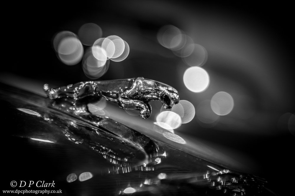 ImageAcademyUK's tweet photo. A stunning selection of photographs from The Image Academy Student Darren Clark. A great display of different photography techniques! https://t.co/kBy2MEdFoX
