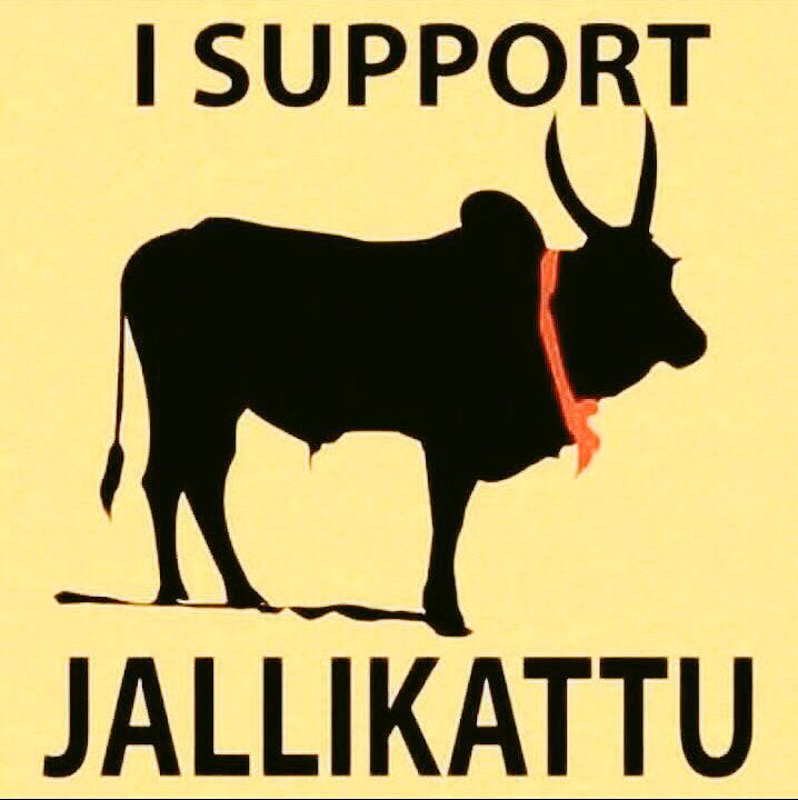 DhivyaDharshini's tweet image. Huge respect to all the students,who r protesting for our Thamizh identity with peace dignity n true emotions on d roads #Jallikattuprotest