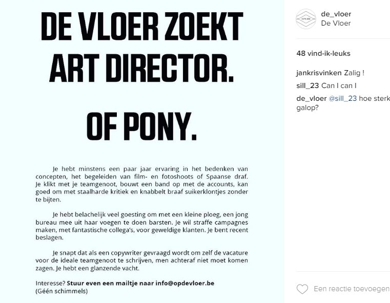 annebethboudry's tweet photo. @JasmienO Even geniaal: #DeVloer zoekt een Art Director https://t.co/SMkRZWzsHr