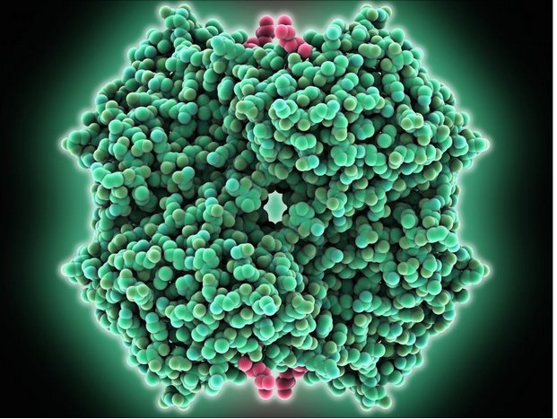 L'évolution d'un #Cancer du #cerveau stoppée chez une patiente de 26 ans grâce à un anti-paludéen sciencesetavenir.fr/sante/cancer/u…