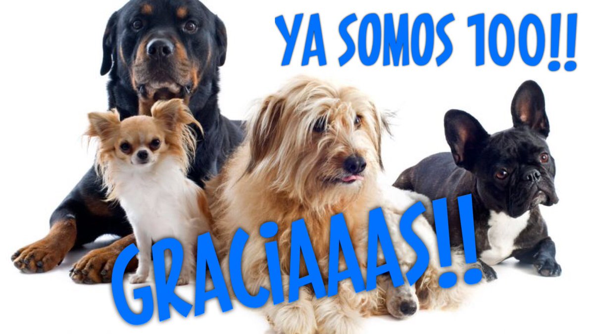 AdnPerros's tweet photo. Seguimos creciendo. Ya somos 100!! Gracias followers!!! #adnperros #proteccioncanina #noabandones https://t.co/mbTvRXhuWT