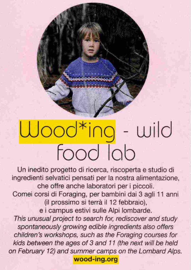 wooding wildfoodlab tweet media