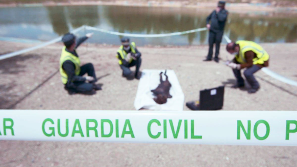 DocumentaRTVE tweet media