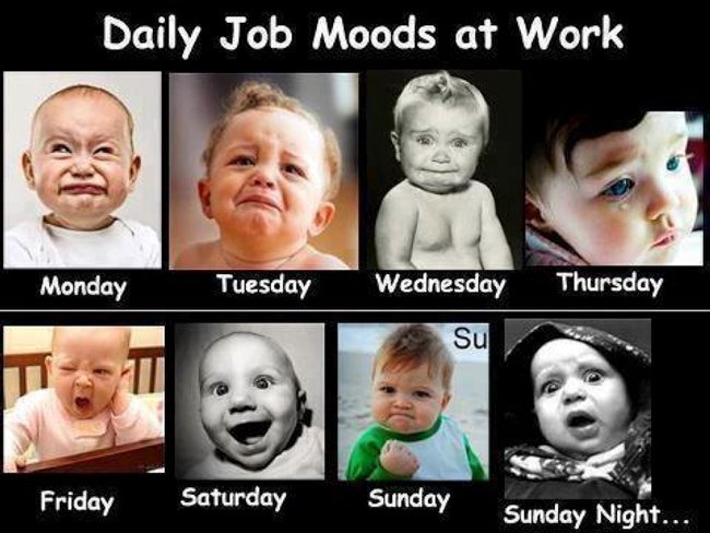 MindfullPhotogr's tweet photo. Weekend is around the corner guys! lol hang in there!
#humpday #humor #WeekendIsAroundTheCorner https://t.co/ESY5UIOm19
