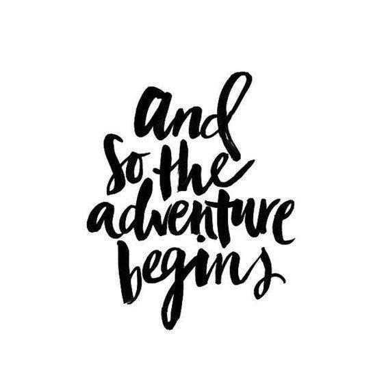 ADPi_WJC's tweet photo. The women of Alpha Delta Pi are beyond excited for recruitment to begin this week! We cannot wait to see and meet everyone. #GoGreek #ADPi https://t.co/RSP9VaHT20
