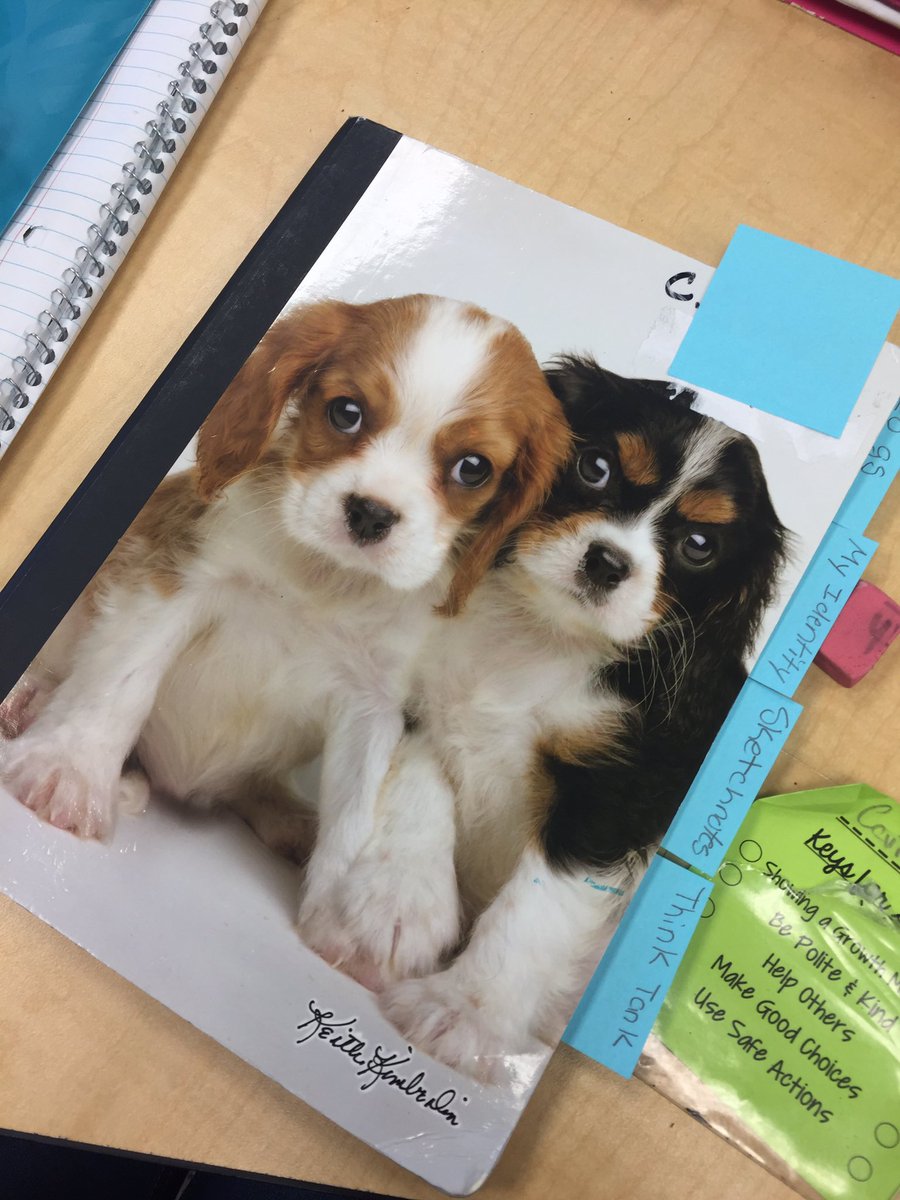 mrs_ebeling's tweet photo. Creating our new and improved IR notebooks! #d68learns @D68Gifted @DanaMurphy68 @AngelaMakowski https://t.co/4irvUJdHCM