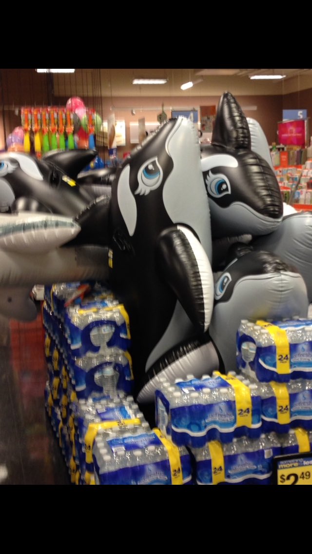 MokiDestroyer's tweet photo. I just got back from Sea World #whales #ocean #seaworld #shopping #groceries #freethewhales #sales #water #CaptivityKills https://t.co/UmSIbBDR1t