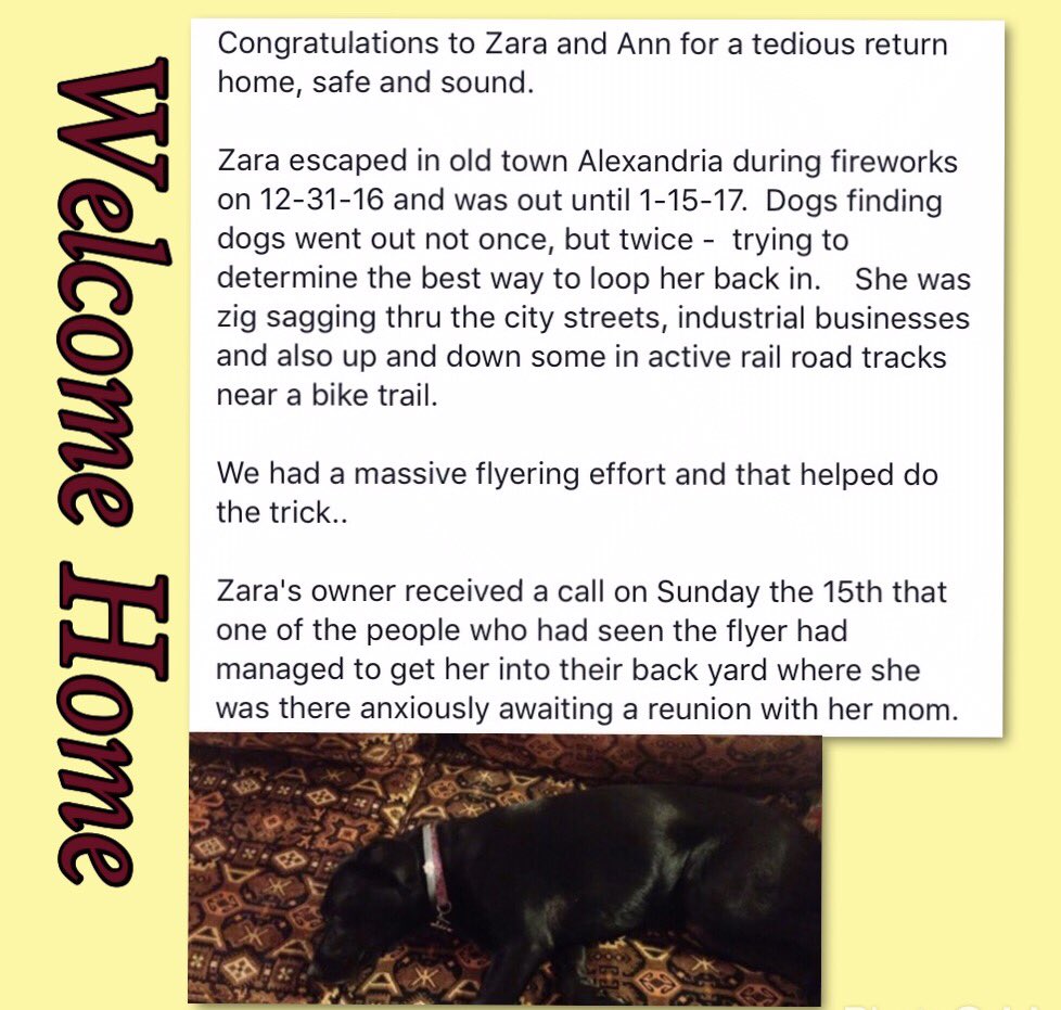 DogsFindingDogs tweet picture