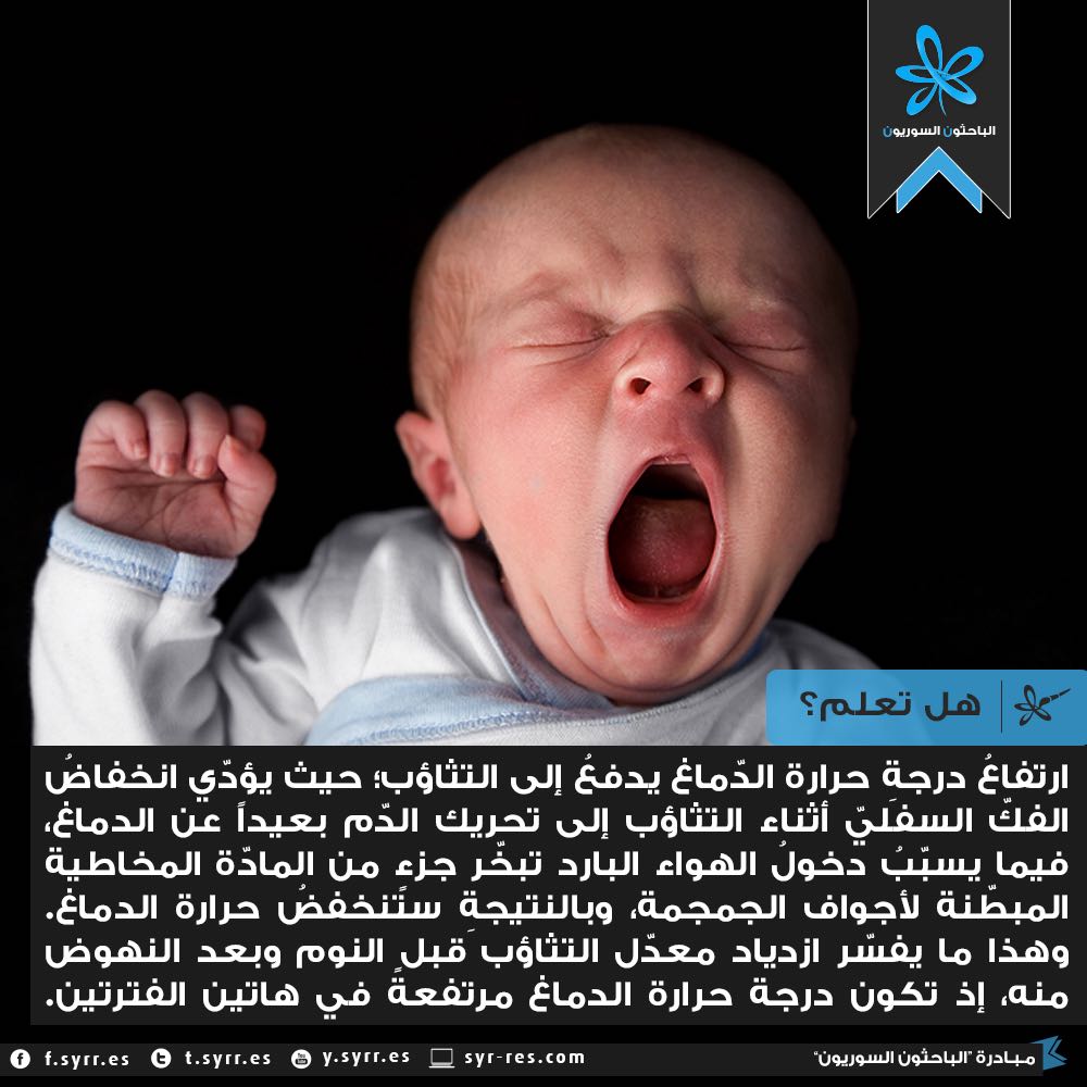 wa3i__'s tweet photo. ما العلاقة بين ارتفاع درجة حرارة الدماغ والتثاؤب ! https://t.co/CZYKvCcsvZ
