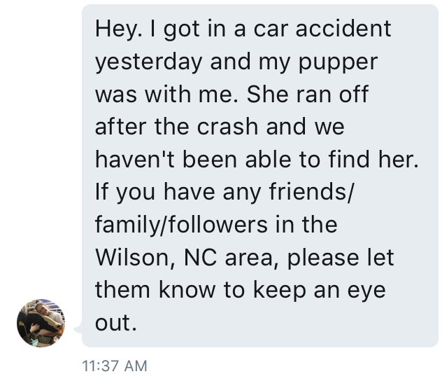 dogfather's tweet photo. Calling on my NC pals to share this https://t.co/ljMTSTfKbz