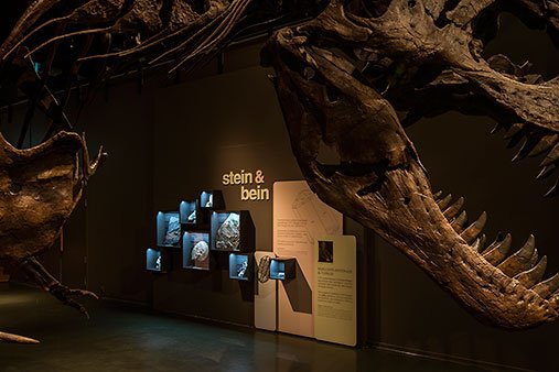 UniOslo_NHM's tweet photo. Det er funnet 16 meteoritter i Norge - 29. jan ser vi på 15 av disse #omvisning #meteoritt #astrosøndag #geologi https://t.co/sbWqwqUpXi https://t.co/OZKEJkrNK9