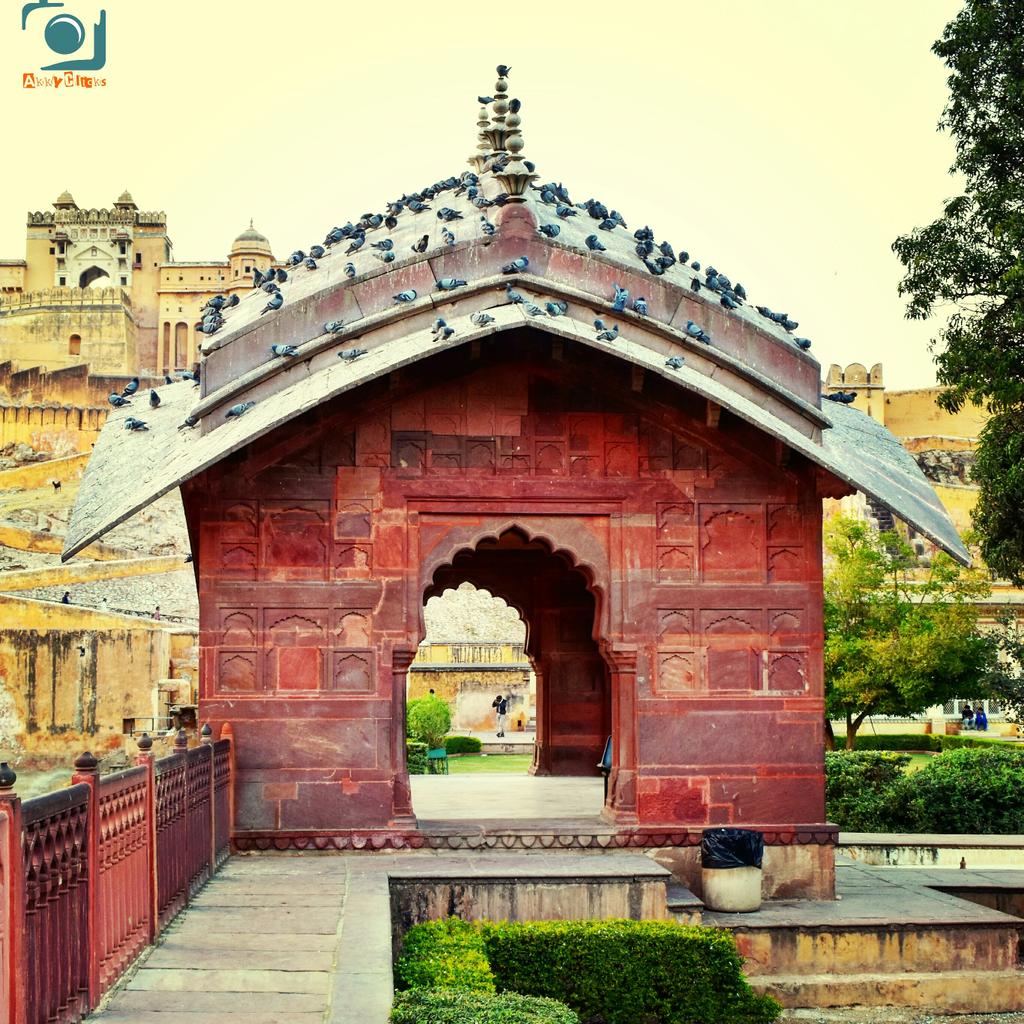 Akash1609's tweet photo. #akkyclicks #jaipur #amber #fort #beautifuljaipur #igersjaipur #nikonearth #pinkcityjaipur #unseenjaipur #jaipurdiaries #igersrajasthan https://t.co/d0wQ5ybC49