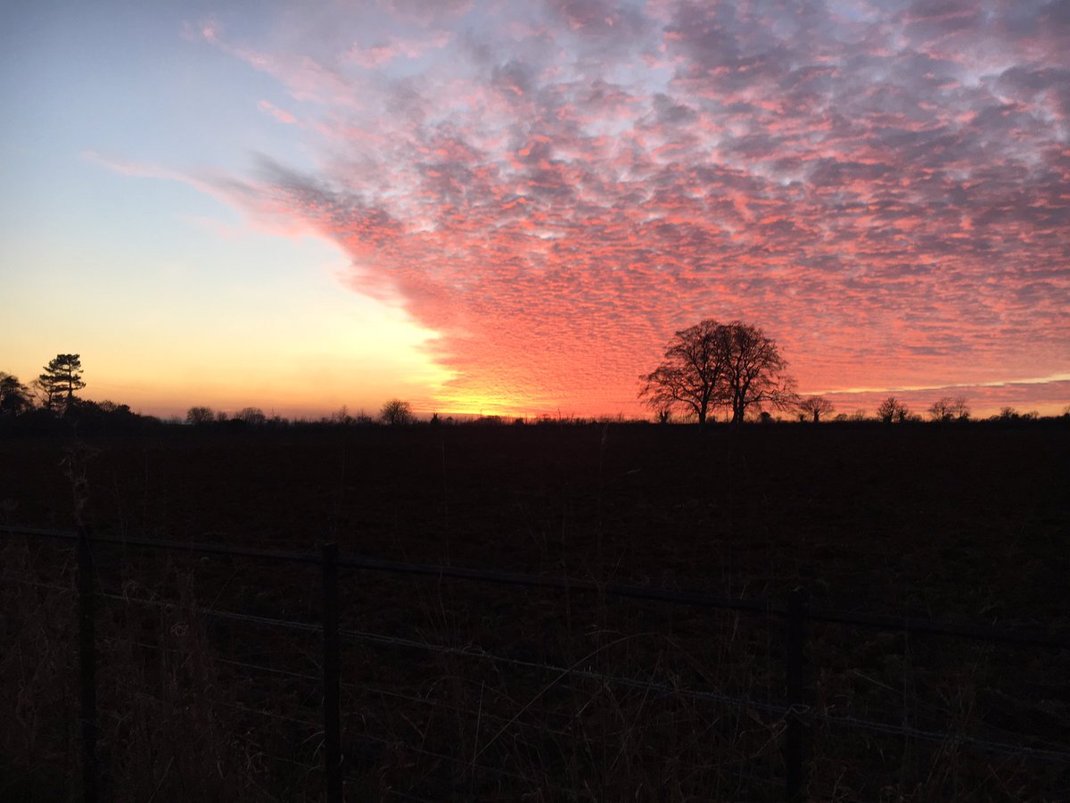 Bamboo House tweet media