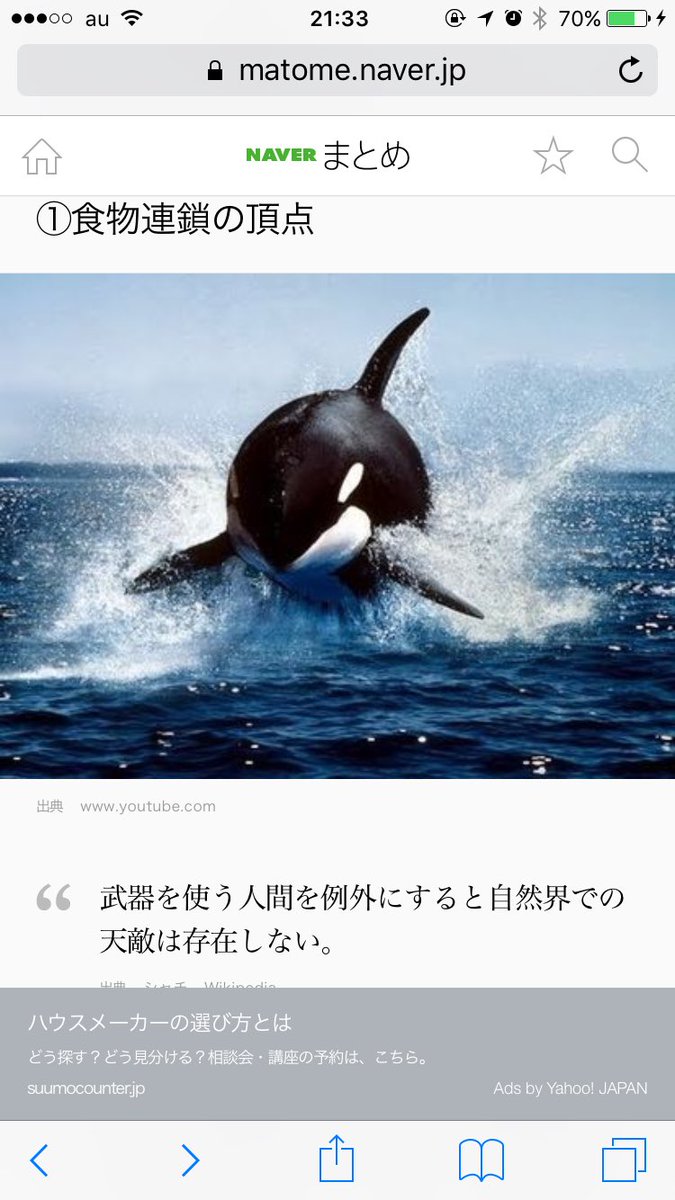 たね Twitterissa シャチってかっこいいな 殺し屋クジラ 冥界よりの魔物 って言われて海の食物 連鎖の頂点に君臨してる 俺の事かっこいいから横須賀のシャチって呼んで