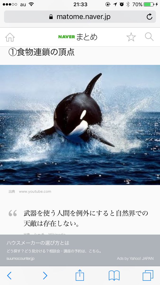 たね Twitterren シャチってかっこいいな 殺し屋クジラ 冥界よりの魔物 って言われて海の食物連鎖の頂点に君臨してる 俺の事 かっこいいから横須賀のシャチって呼んで