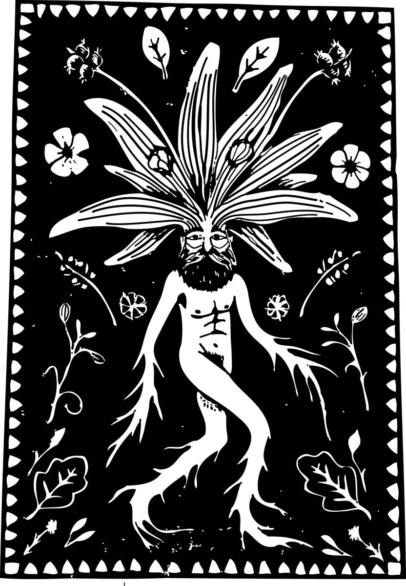 A3 #mandrake #print - available on #etsy  etsy.com/uk/shop/Phoebe… #linocut #folklore #printmaking #handmade #lino #linoprint #art #prints