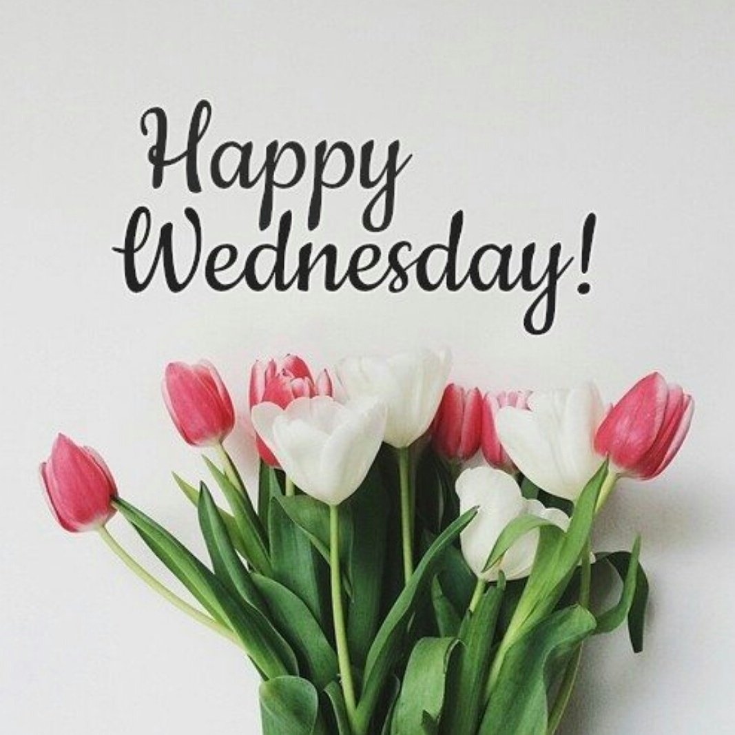 ignite_salon's tweet photo. Good morning beautiful people #happy#wednesday #greatday#ignite_salon #igniteteam https://t.co/aowuVnvpHA