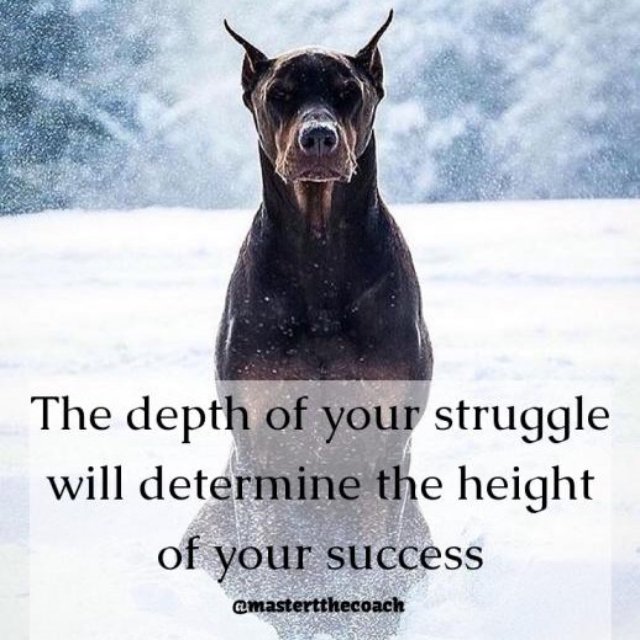 MasterTTheCoach's tweet photo. @pseudo_kate @ujfm @smurfzinto @ShupingWoden https://t.co/9mInPBxVCp