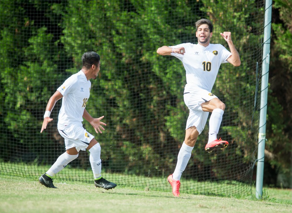 Pfeiffer Athletics tweet media