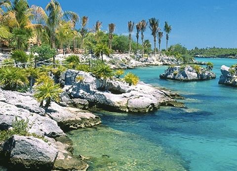 ecocancun's tweet photo. Come and enjoy Sian Ka'an Biosphere Reserve in Mexico
Contact us 👉 https://t.co/5cfVjd58nj https://t.co/p8OOi535JL