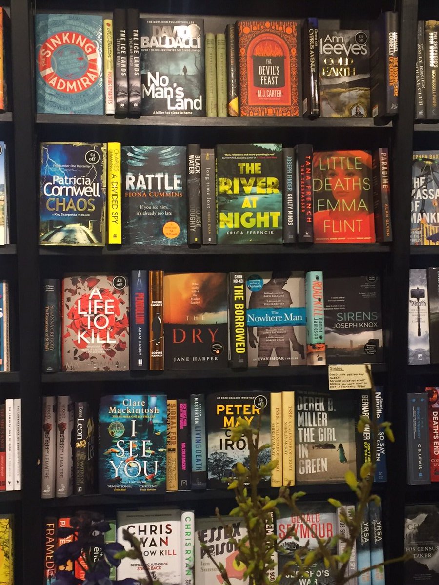 FionaAnnCummins's tweet photo. First sightings of #Rattle in the wild. Oh. My. Word. https://t.co/ID6jf9rKAq