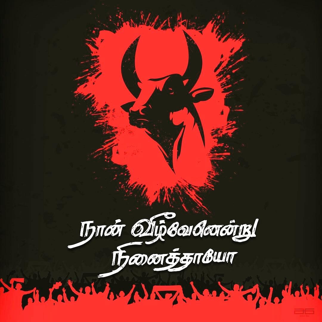 SyedSharuk10's tweet photo. #save culture jallikattu
Sent off from peeta tamainadu
#tamaizhal da
#save jallikattu https://t.co/OYKgQFthAf
