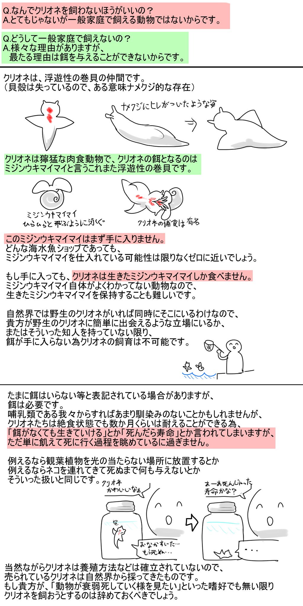 クリオネ瓶詰めは一般家庭で飼育できるの 専門家の見解は ハフポスト News