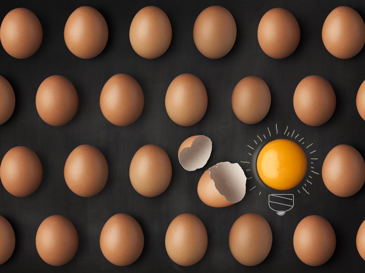 webfxtt's tweet image. Don&apos;t stay in a marketing shell. Crack open and explore new digital solutions to your challenges! #WebFx